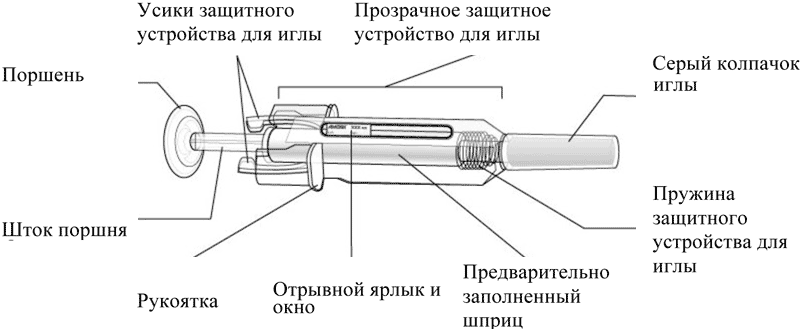 Стандартный шприц в разрезе